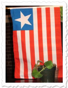 Foto of the Washington,DC Peace Plant. By x-mas I may get one to the US Institute of Peace and the White House. The flag is of Liberia...