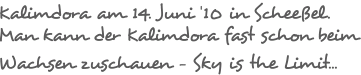 Kalimdora am 14. Juni ’10 in Scheeßel. Man kann der Kalimdora fast schon beim Wachsen zuschauen - Sky is the Limit...