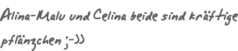 Alina-Malu und Celina beide sind krftige pflnzchen ;-))