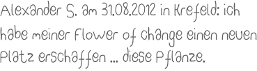 Alexander S. am 31.08.2012 in Krefeld: ich habe meiner Flower of change einen neuen Platz erschaffen ... diese Pflanze.
