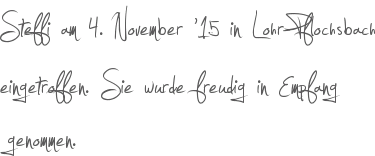 Steffi am 4. November 15 in Lohr-Pflochsbach eingetroffen. Sie wurde freudig in Empfang genommen.