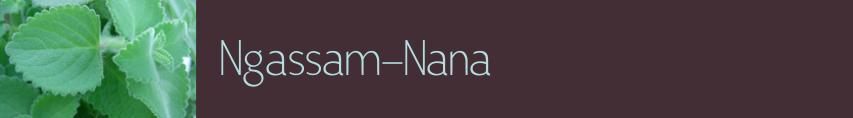 Ngassam-Nana