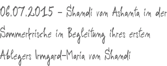 06.07.2015 - Shandi von Ashanta in der Sommerfrische in Begleitung ihres ersten Ablegers Irmgard-Maria von Shandi