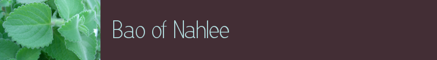 Bao of Nahlee