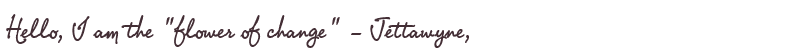 Welcome to Jettawyne