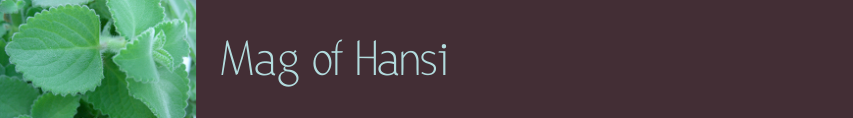 Mag of Hansi