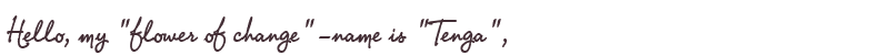 Welcome to Tenga