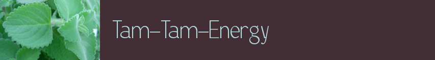 Tam-Tam-Energy