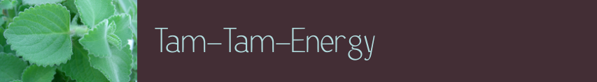 Tam-Tam-Energy