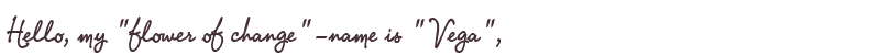 Welcome to Vega