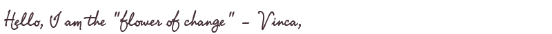 Welcome to Vinca